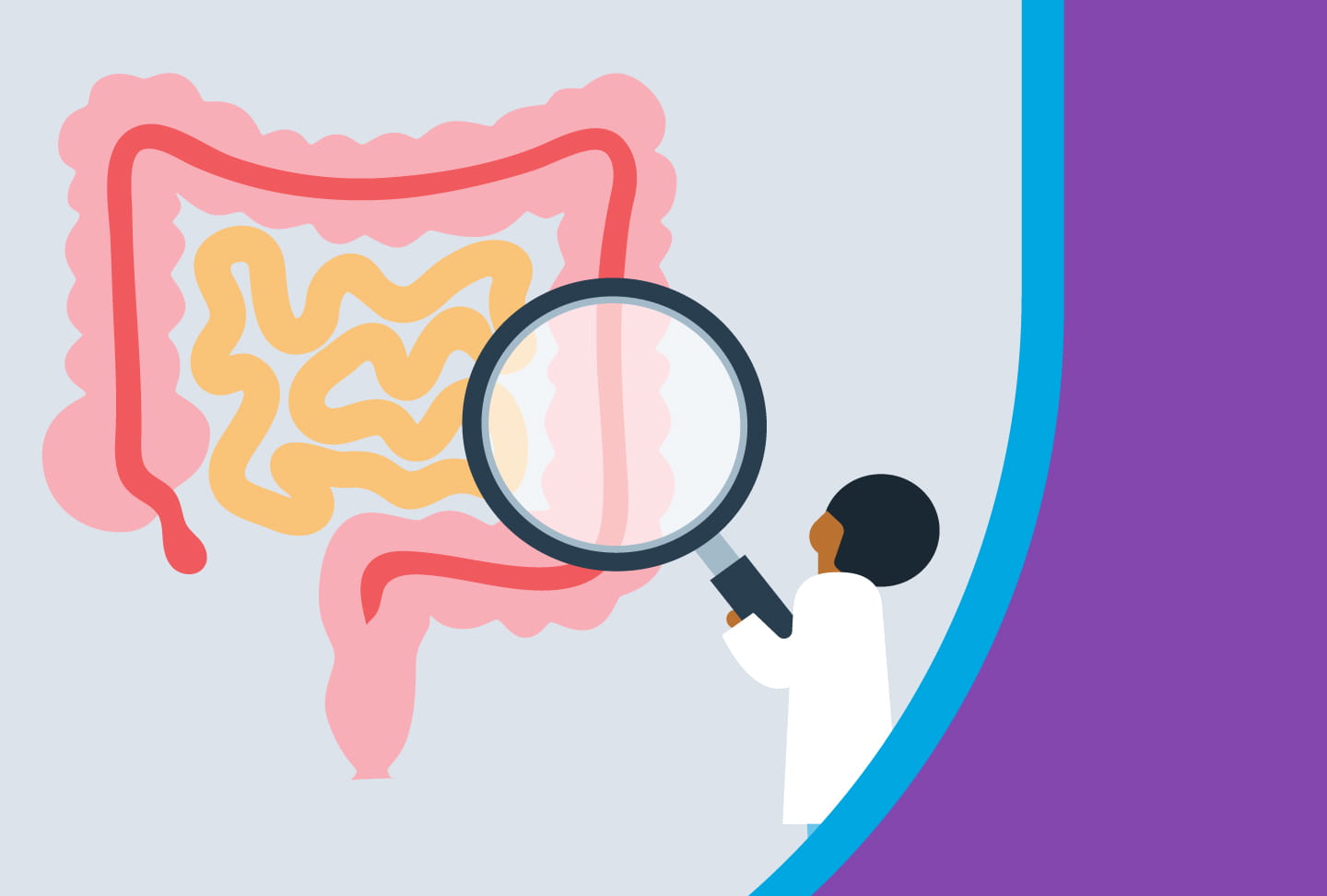 Illustration of provider looking at colon with magnifying glass