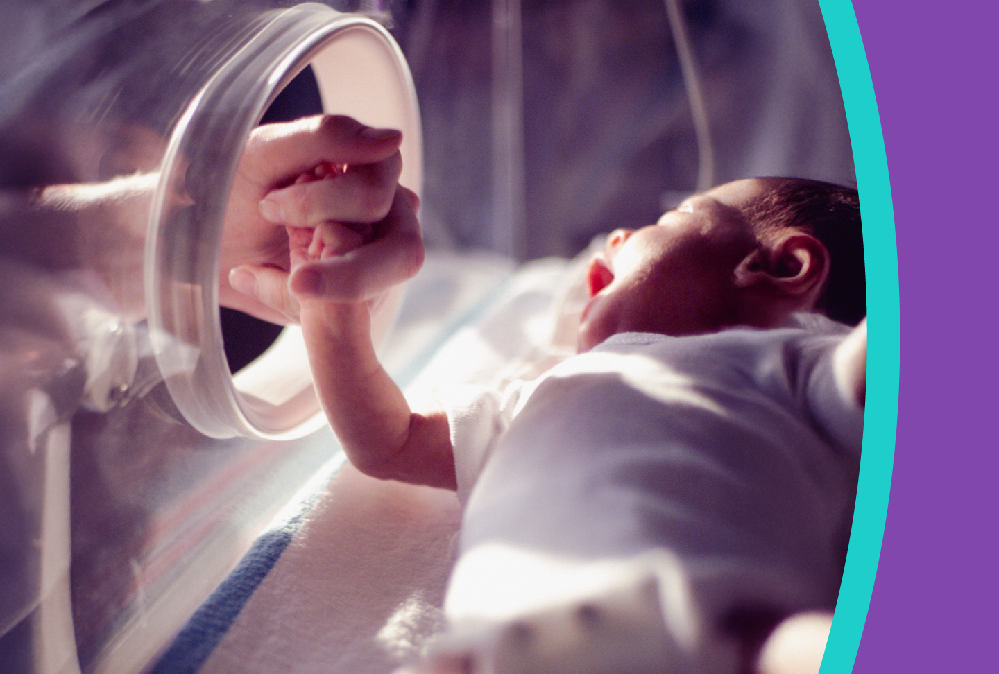 Holding the hand of an infant in the NICU