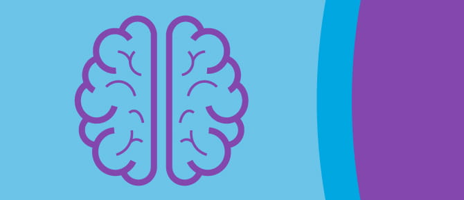 Illustration of a brain