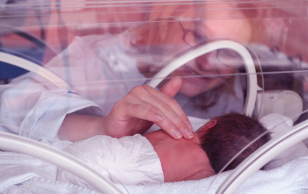 A NICU nurse caresses an infant in an incubator
