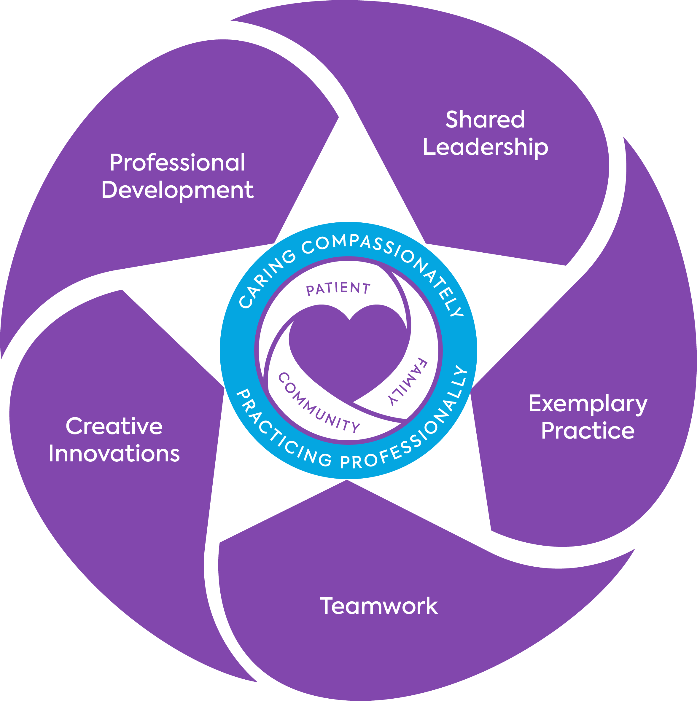 Nursing Professional Practice Model