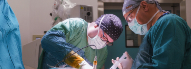 Neurosurgeons at work