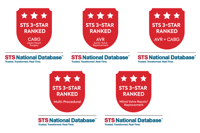 Image of Award Shields